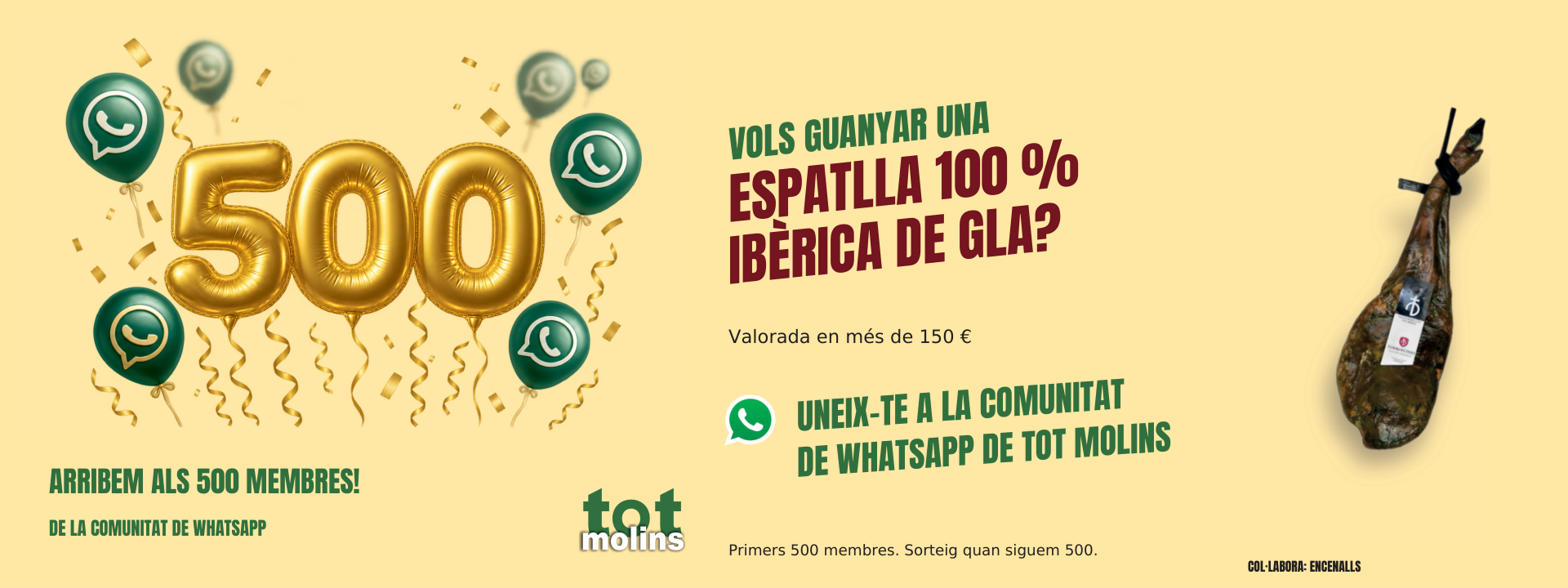Arribem als 500 membres de la comunitat de WhatsApp de Tot Molins. Sorteig d’una espatlla 100% ibèrica de gla entre els primers 500 membres, quan siguem 500.