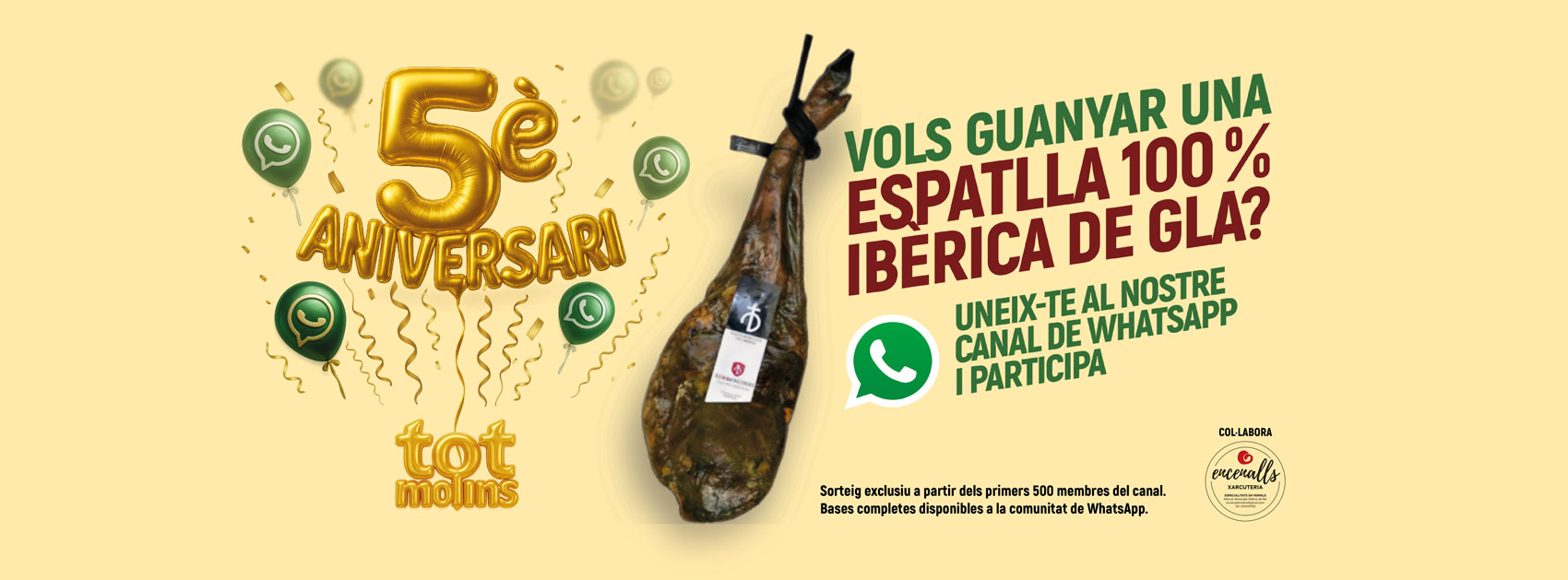 Campanya del cinquè aniversari de Tot Molins: sorteig d’una espatlla ibèrica. Consulta la campanya a la comunitat.