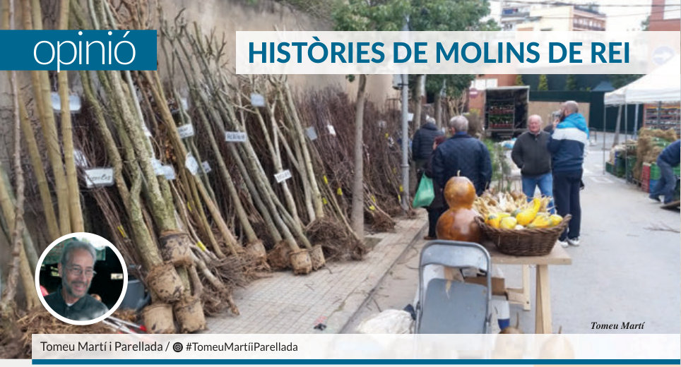 Capçalera publicada de Històries de Molins de Rei, número 19