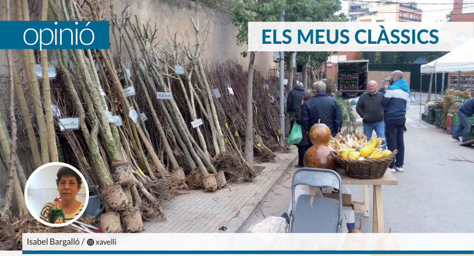 Capçalera publicada de Els meus clàssics, número 30