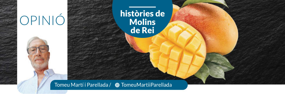 Capçalera publicada de Històries de Molins de Rei, número 41