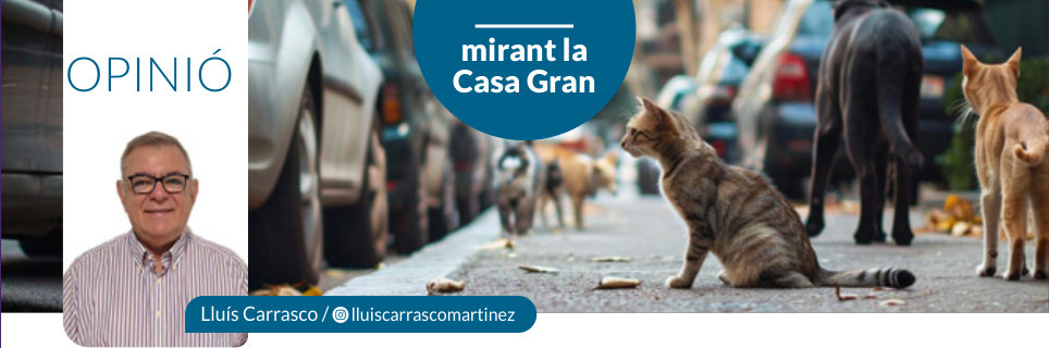 Capçalera publicada de Mirant la Casa Gran, número 42