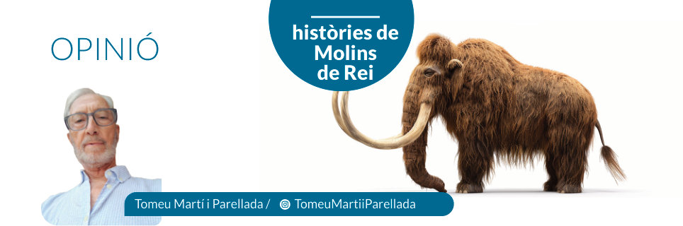 Capçalera publicada de Històries de Molins de Rei, número 43