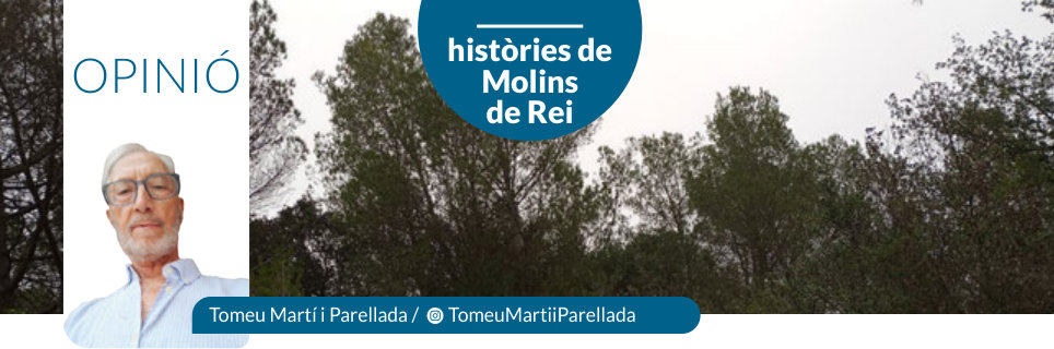 Capçalera publicada de Històries de Molins de Rei, número 48