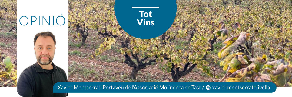 Capçalera publicada de Tot Vins, número 51