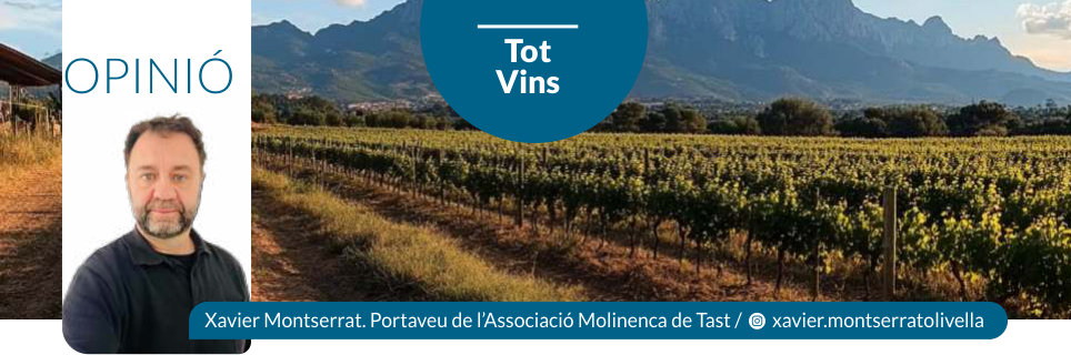 Capçalera publicada de Tot Vins, número 53