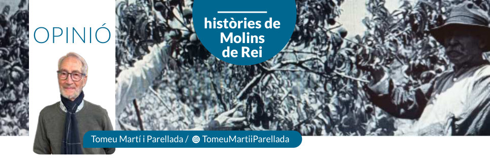 Capçalera publicada de Històries de Molins de Rei, número 58