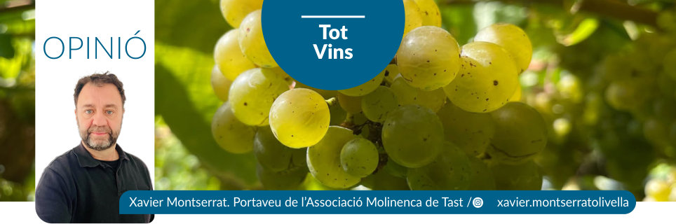 Capçalera publicada de Tot Vins, número 64