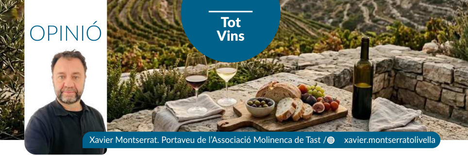 Capçalera publicada de Tot Vins, número 65