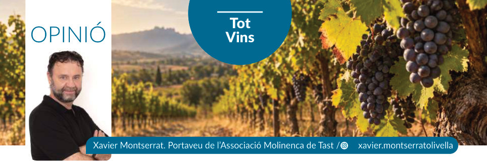 Capçalera publicada de Tot Vins, número 66